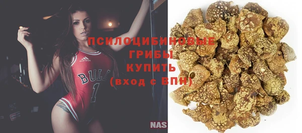 ешки Усинск