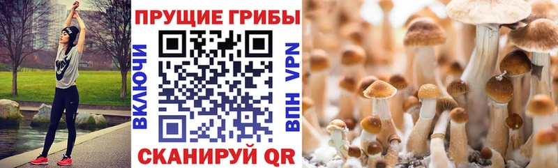 даркнет сайт  МЕГА   Галлюциногенные грибы MAGIC MUSHROOMS  Чулым 